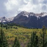 View Panoramic Gallery