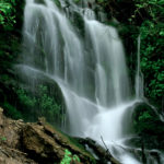 View Landscape Gallery